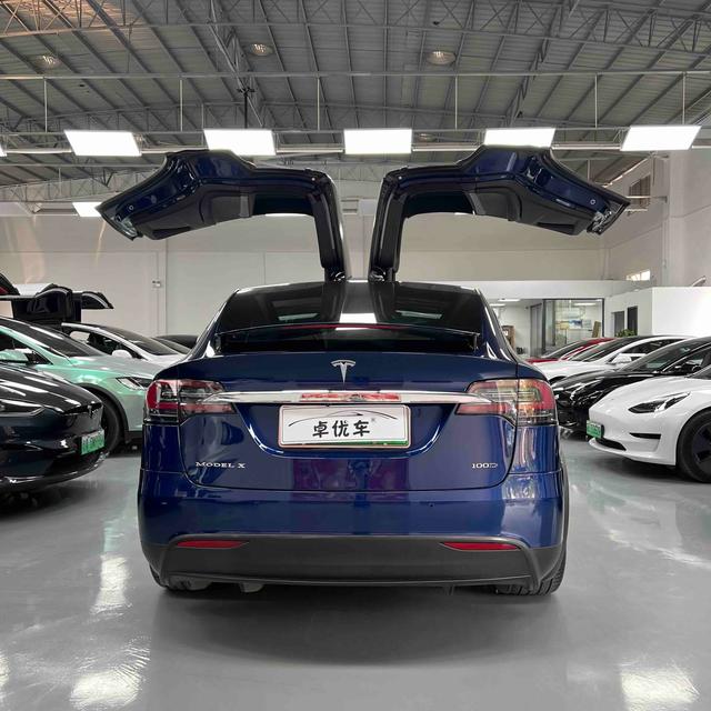 Certificated Pre-Owned Tesla Model X 2017 100D Long Range Version -u22512214