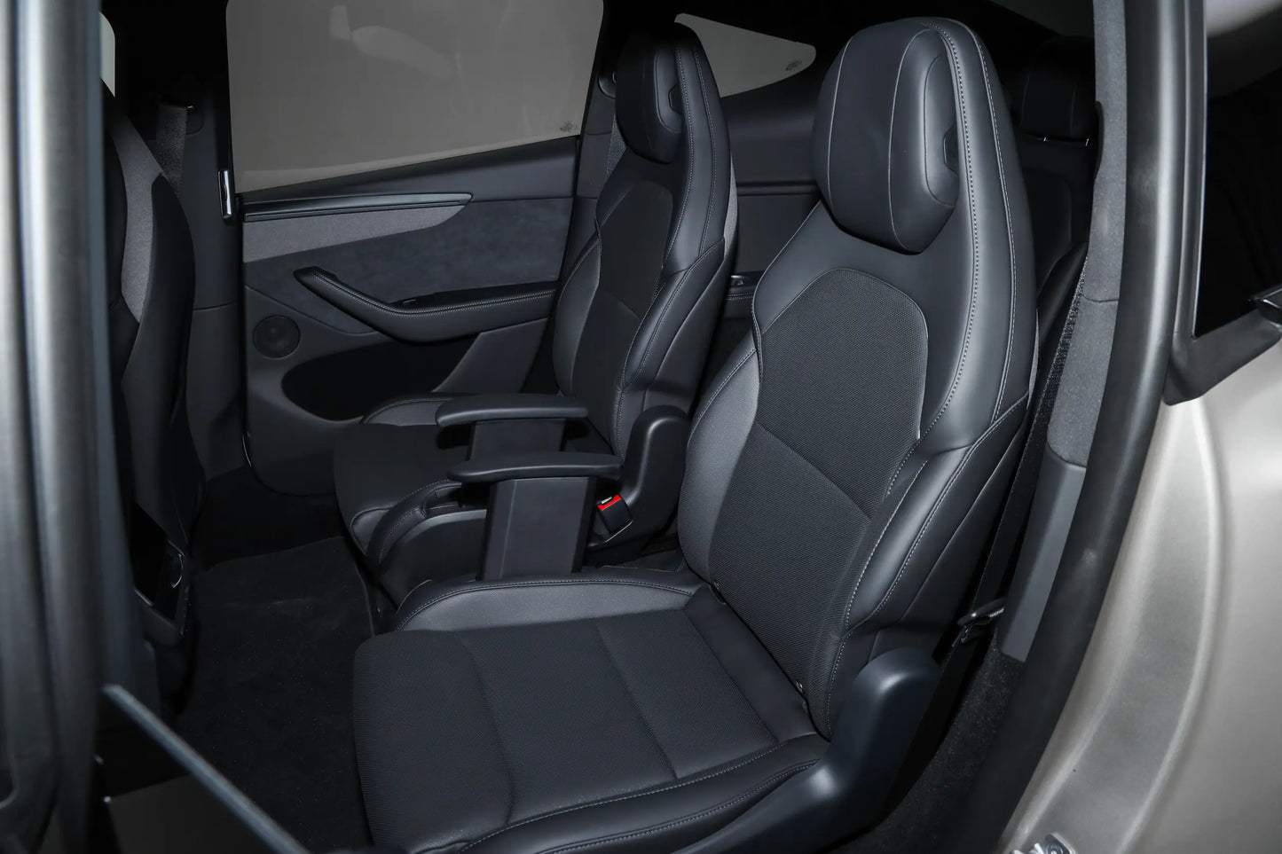Model Y L