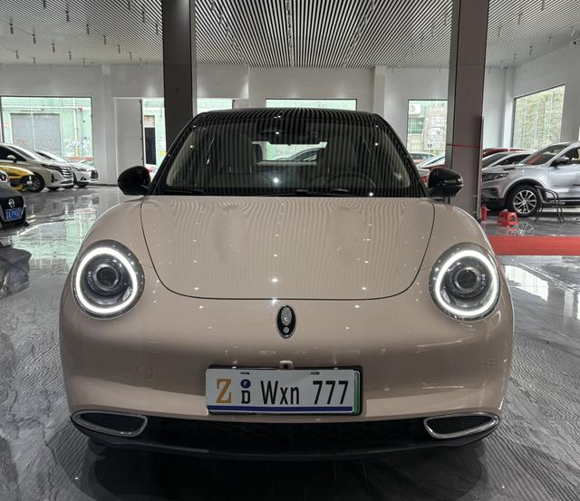 Certificated Pre-Owned Ora Good Cat 2022 Morandi Edition 400km Standard Range Premium Version Lithium Iron Phosphate -u22712938