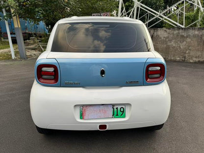 Pre-Owned Oula Black Cat 2021 Model 301km Basic Version