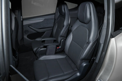 Model Y L
