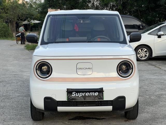 Certificated Pre-Owned Geely Geometry Panda 2024 200km Panda Mini Endurance Bear -u24002277