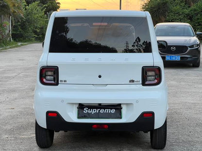 Certificated Pre-Owned Geely Geometry Panda 2024 200km Panda Mini Endurance Bear -u24002277