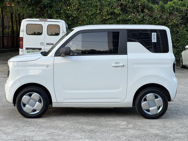 Certificated Pre-Owned Geely Geometry Panda 2024 200km Panda Mini Endurance Bear -u24002277