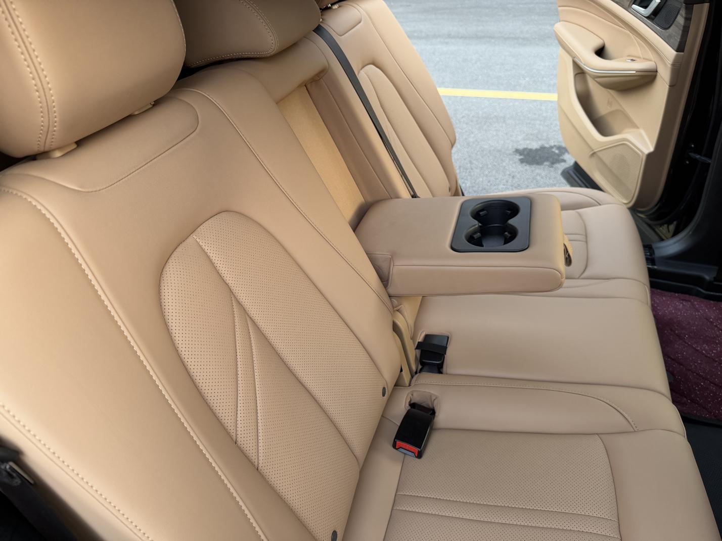 Certificated Pre-Owned Seres Landian E5 2024 Glory Edition 100km Premium Version -u24111912