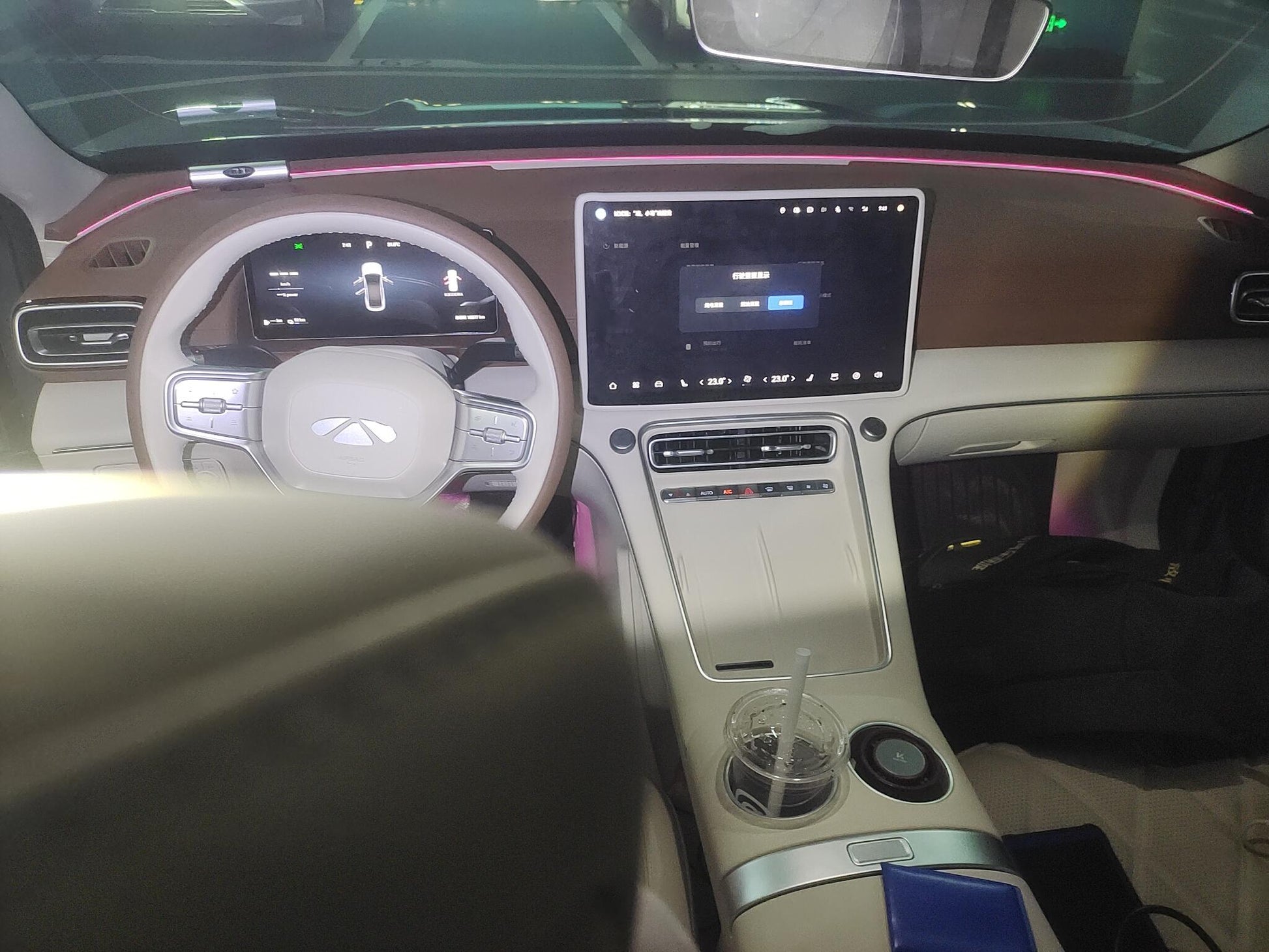 Certificated Pre-Owned Fengyun A9L 2025 Edition 260 Ultra Long Range Luxury Version -u24129348