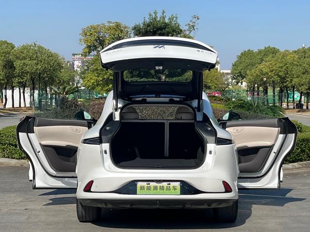 Pre-Owned IM LS6 2023 Model Max Long-Range Version