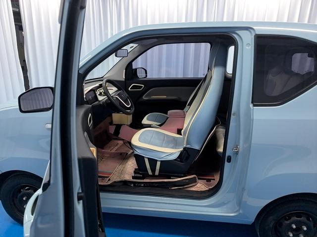 Certificated Pre-Owned SAIC-GM-Wuling Hongguang MINIEV 2020 Yuexiang Edition Lithium Iron Phosphate -u22975144