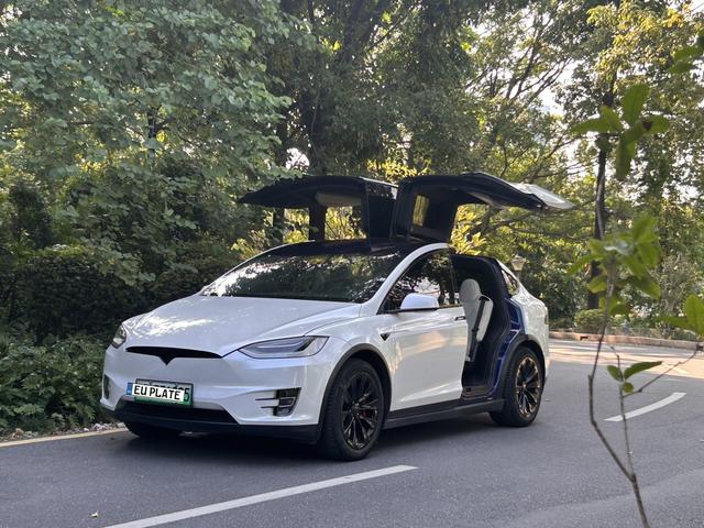 Pre-Owned Tesla Model X 2019 Long Range Edition